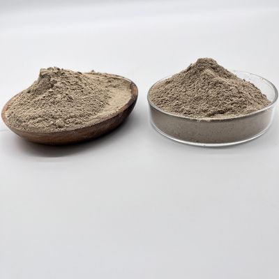 Tratamento de Água Biobactérias reduzem poluentes orgânicos