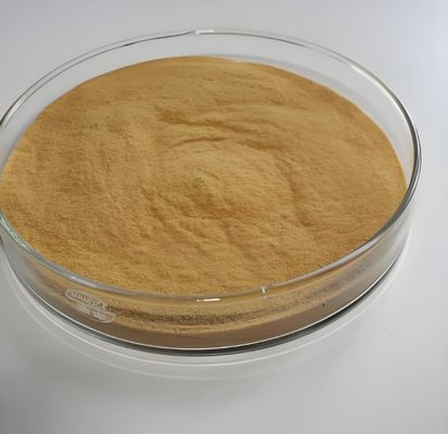 Fe2 SO4 3 Sulfato Ferrico Tratamento de Água para Purificação de Água