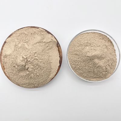 Bio Bactérias e Dureza 95 Combinação perfeita para limpeza de água Microorganismos orgânicos