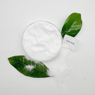 Aditivos alimentares Pó vegetal de qualidade alimentar Ácido cítrico monohidrato anidro