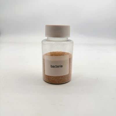 Bactérias biológicas em pó castanho concentrado para tratamento de águas residuais industriais