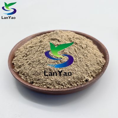 Proteção do ambiente Microorganismo Tratamento de esgotos Biobacterial Para eliminação de lama pó marrom