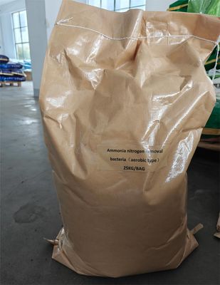 Proteção do ambiente Microorganismo Tratamento de esgotos Biobacterial Para eliminação de lama pó marrom