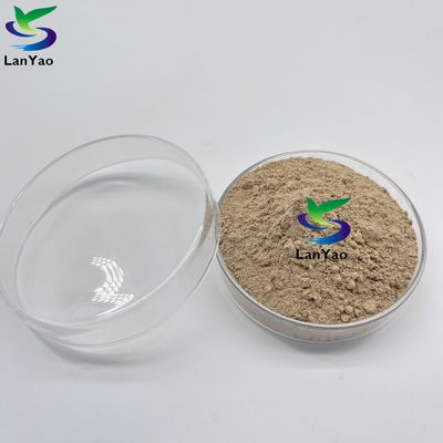 Bactérias anaeróbias aeróbicas Antibióticos anaeróbicos Bactérias aeróbicas Anaeróbicas Tratamento de águas residuais Cultura bacteriana