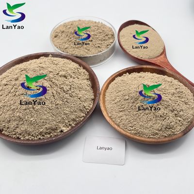 Tratamento Biológico de Águas Residuais Bactérias / Enzimas / Lodo Activo Bactérias aeróbicas no Tratamento de Águas Residuais