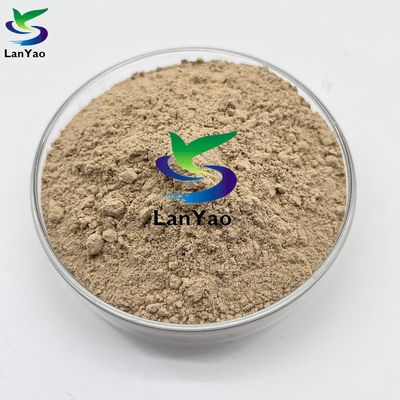 Biobactérias nitrificantes Bactérias Tratamento eficaz de águas residuais