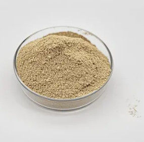 Tratamento de Água Bio Bactérias em pó Performance duradoura e confiável