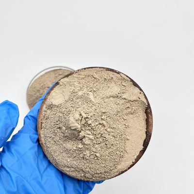 Inovador e comprovado desempenho em forma de pó Tratamento de águas residuais Bacterial para biobactérias